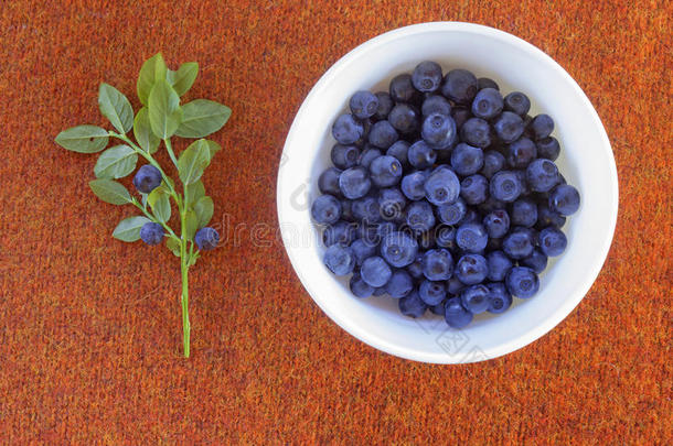 在盘子上特写蓝莓的照片。 新鲜成熟多汁的桑葚，明亮的秋色背景。 健康饮食的概念