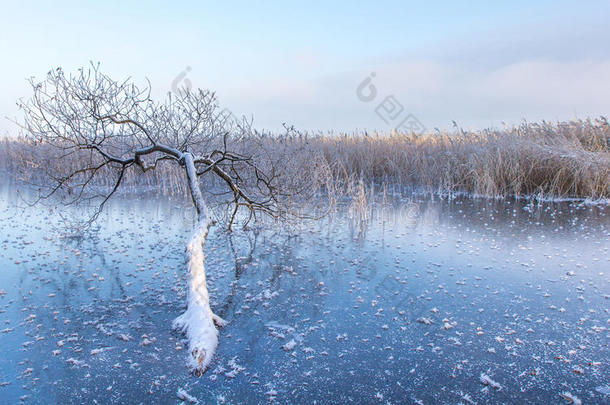 爱沙尼亚<strong>清脆</strong>的冬天早晨。