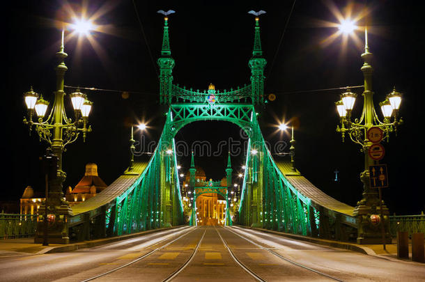 匈牙利布达佩斯德纳贝河上连接布达和<strong>害虫</strong>的自由桥东侧