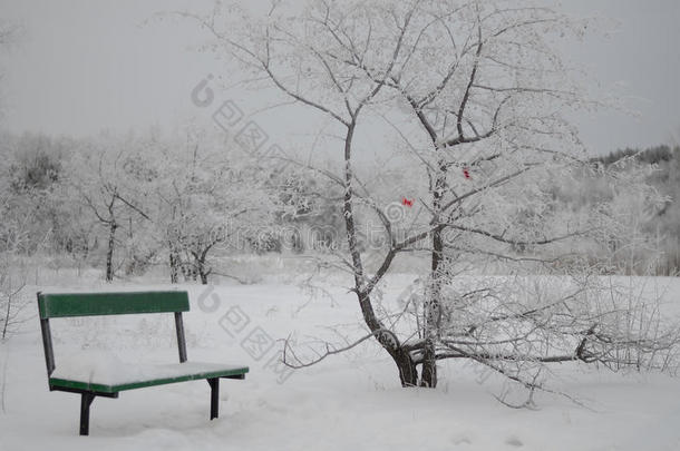 美丽的冬季公园，树上有红色的蝴蝶