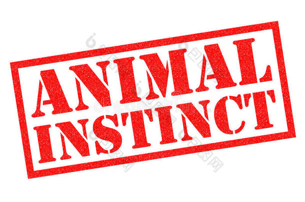 动物本能橡胶邮票