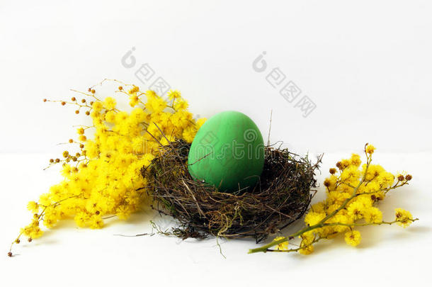 复活节彩蛋和含羞草