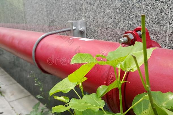 背景建筑冲突连接配偶