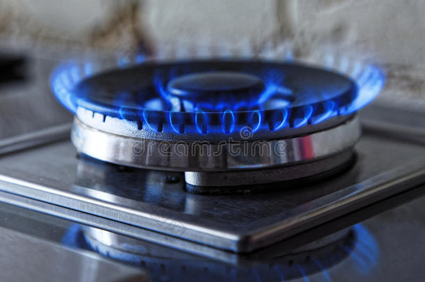 蓝色气体的火焰。 从厨房煤气炉关闭燃烧的火环。 彩色照片