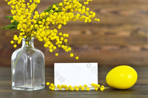 空白复活节卡片，复活节鸡蛋和含羞草