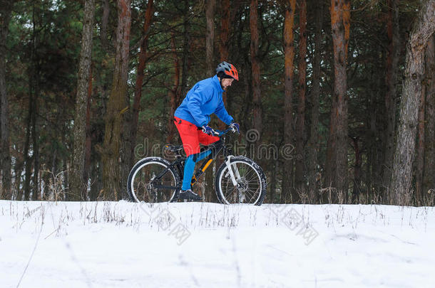 在白雪覆盖的森林里骑极端的山地自行车。