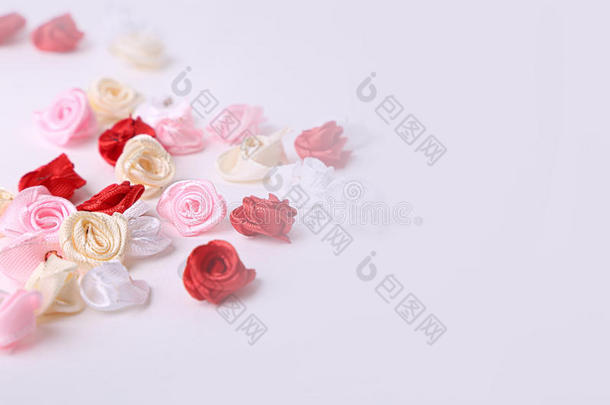 可爱的粉红色，红色，白色和奶油花在白色的背景