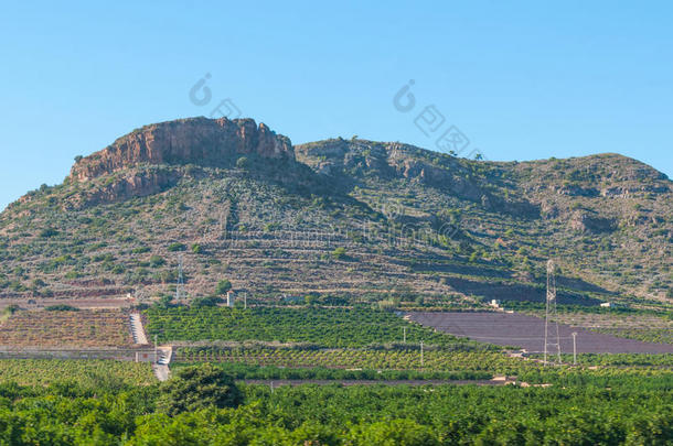农田在丘陵和小山的基础上，当地社区种植农田。 西班牙农村的农业。