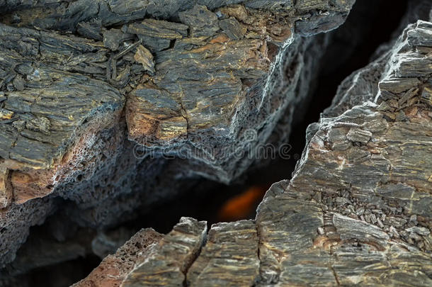 在Tolbachik火山冻结熔岩场的裂缝处着火，2012年火山爆发后，Klyuchevskaya群火山