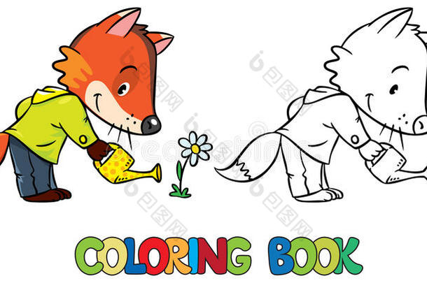 小滑稽狐狸浇花的着色书
