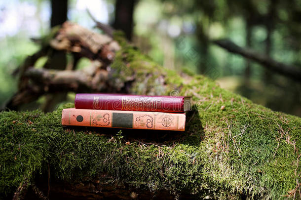 户外封闭的书。 知识就是力量。 在森林里的书。 书在树桩上