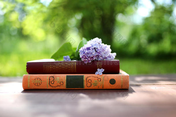 户外封闭的书。 知识<strong>就是力量</strong>。 在森林里的书。 书在树桩上