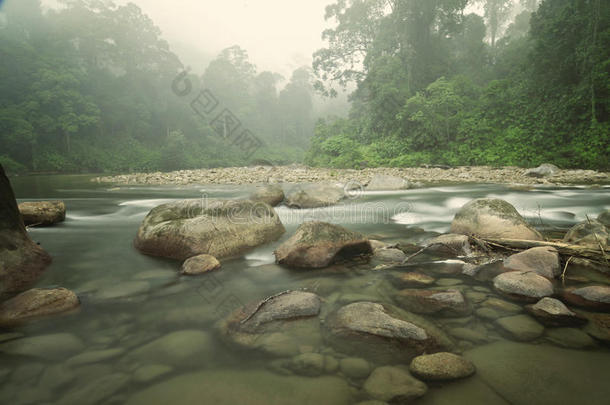 清澈的水雾迷蒙的森林卵石石岩河