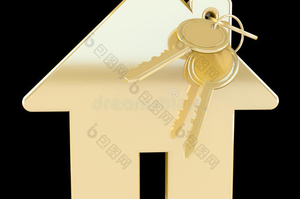 金钥匙与房屋钥匙环三维渲染