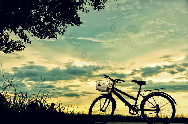 背景美丽的自行车骑自行车骑脚踏车兜风
