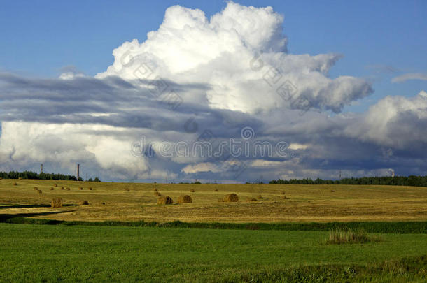 田野上空的云。 夏天的风景