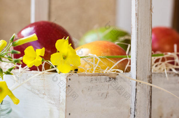 五颜六色成熟的红黄苹果，老式木箱里的梨，夏天的花，篮子里的水果，户外，花园