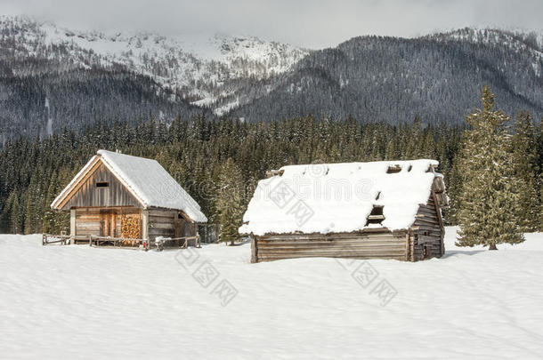 阿尔卑斯山背景寒冷的小屋乡村