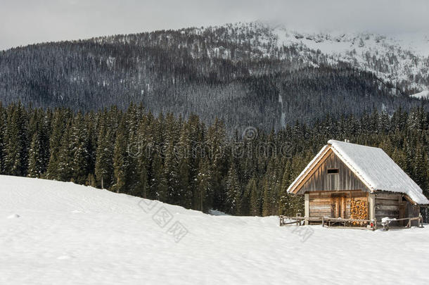 阿尔卑斯山背景寒冷的小屋乡村