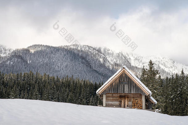 阿尔卑斯山背景寒冷的小屋乡村