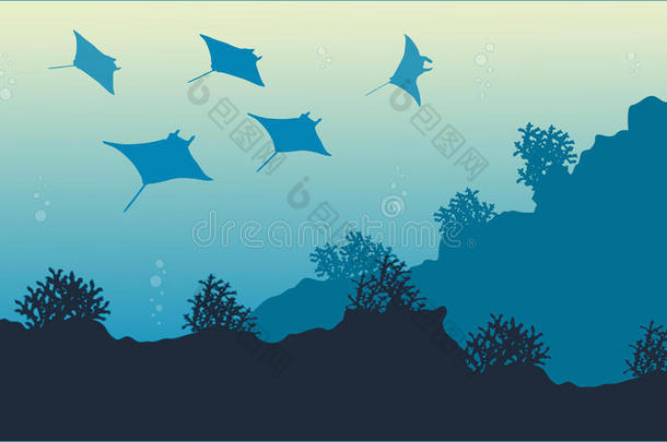 用黄貂鱼收集水下景观