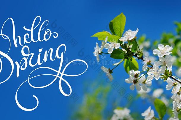 美丽盛开的春天花园背景上的蓝天和文字你好春天。 书法刻字