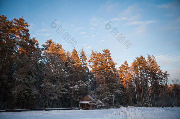 冬天树林里的森林原木小屋。