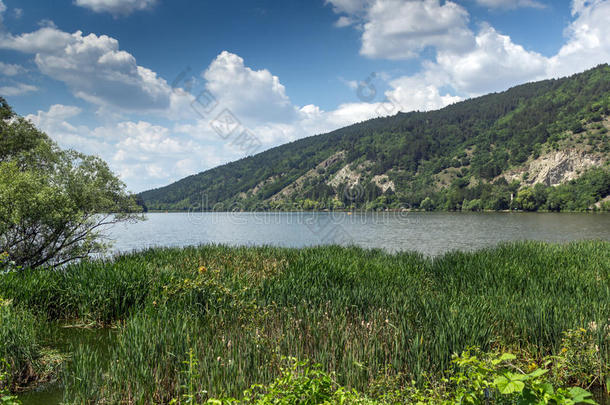 保加利亚潘查雷沃湖令人惊叹的夏季景观