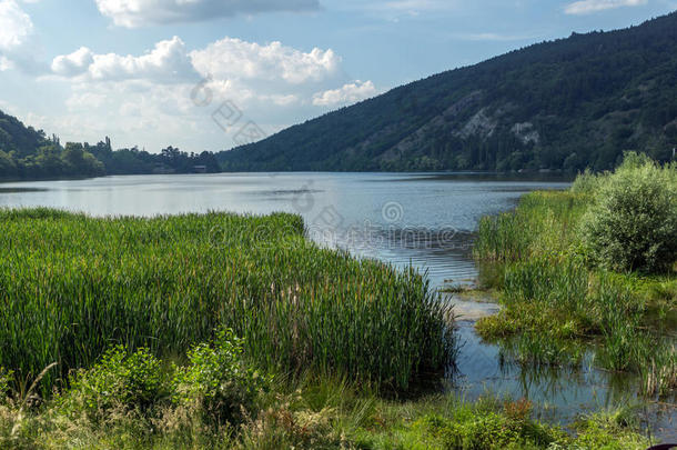 保加利亚潘查雷沃湖令人惊叹的夏季景观