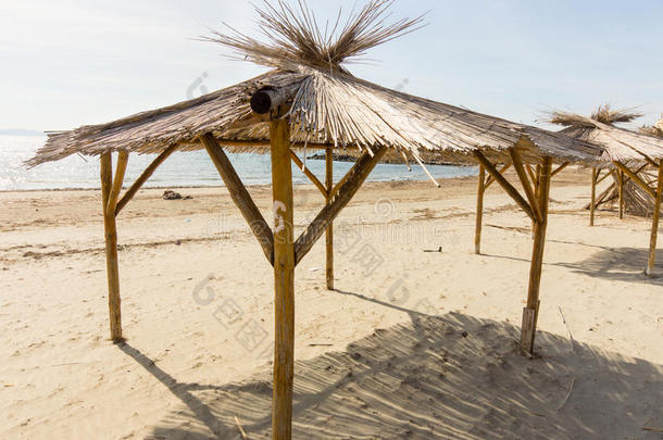 保加利亚波莫里海滩上的甘蔗伞
