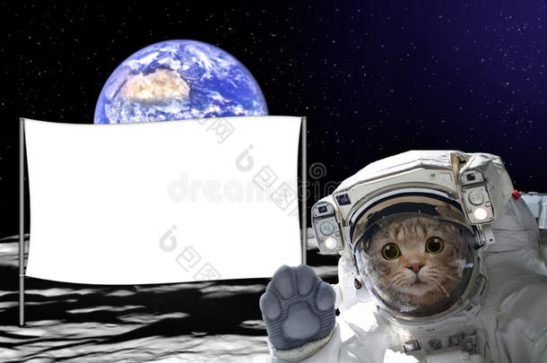 猫宇航员在月球上，身后有一面旗帜，在地球的背景上