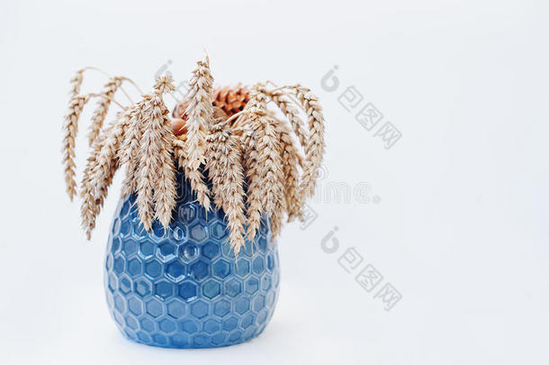 蓝色花瓶上的的蓝色花瓶上的小麦耳朵。