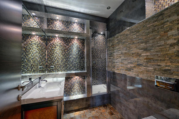 公寓建筑学浴室坐浴盆砖