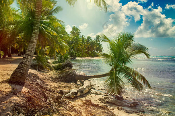 海滩有椰子棕榈，无人居住的热带岛屿