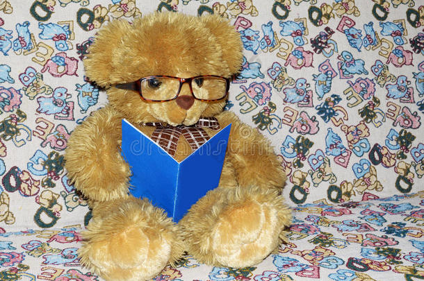 动物熊书棕色的童年