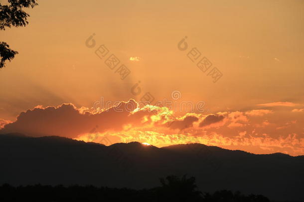 美丽的太阳升起和日落背景与黑色的轮廓树木与橙色的天空。