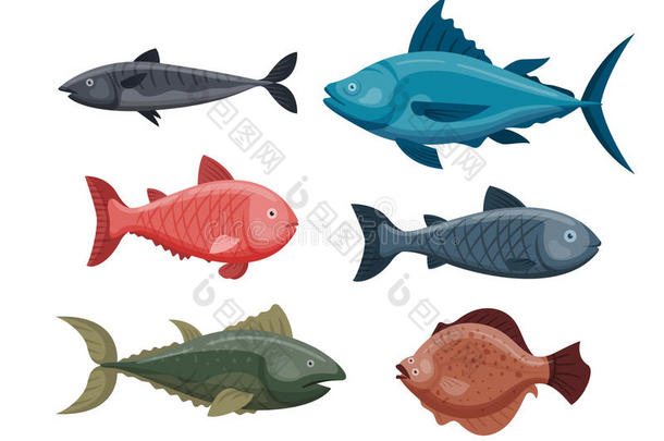 可爱的鱼卡通有趣的游泳图形动物人物和水下海洋野生动物自然水生鳍海洋水
