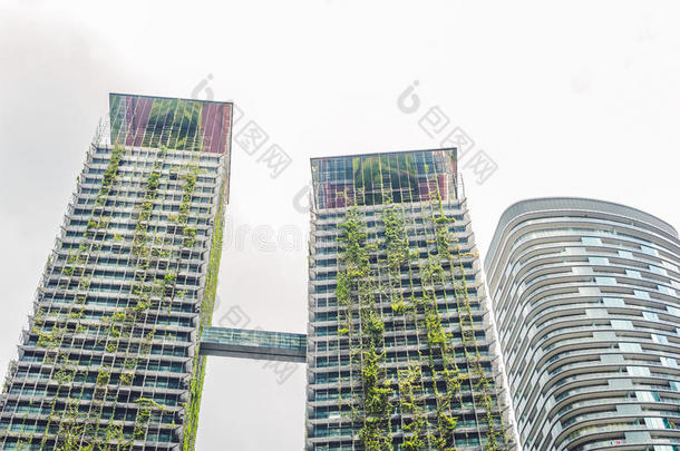 生态<strong>建筑</strong>。 绿色摩天大楼<strong>建筑</strong>，立面上<strong>生长</strong>着植物。 生态和绿色生活在城市、城市环境中