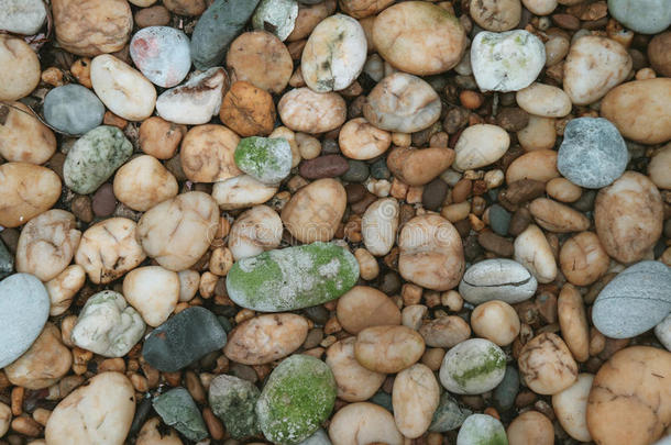 棕色，灰色，白色，绿色鹅卵石为背景