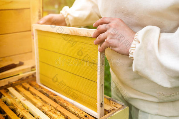 农业养蜂人养蜂场养蜂蜂蜡