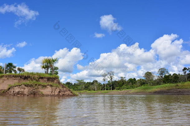 亚马逊河，在亚马逊丛林，秘鲁