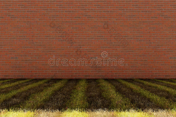混草地板砖墙