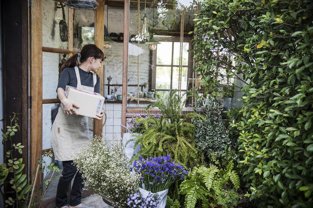 花店花店植物花束盛开