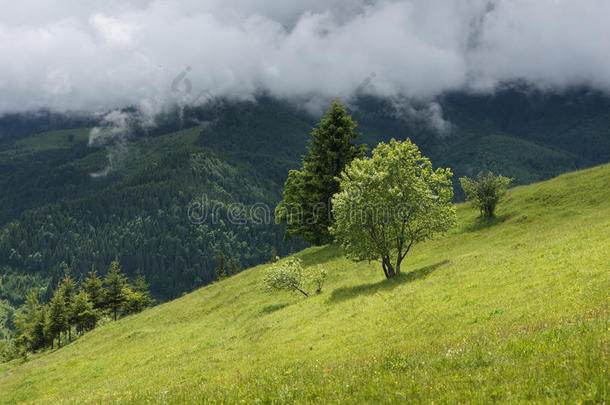 <strong>背景</strong>美丽的云多云的乡村