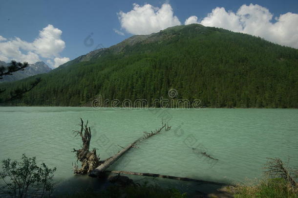 湖边美丽的山景。 山湖。 一种山地地形和山谷中的水