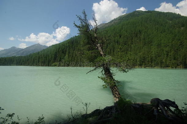 湖边美丽的山景。 山湖。 一种山地地形和山谷中的水