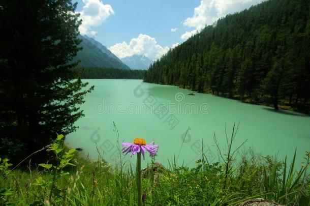 湖边美丽的山景。 山湖。 一种山地地形和山谷中的水