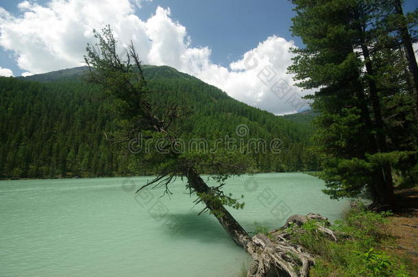 湖边美丽的山景。 山湖。 一种山地地形和山谷中的水