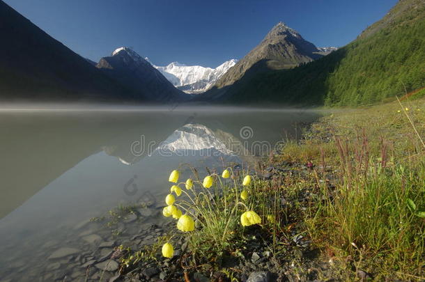 湖边美丽的山景。 山湖。 一种山地地形和山谷中的水