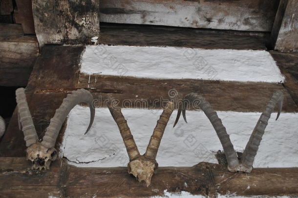 在希马哈尔的哈丁巴庙有古老的<strong>山羊角</strong>